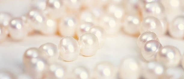 Pearls scattered on a white background